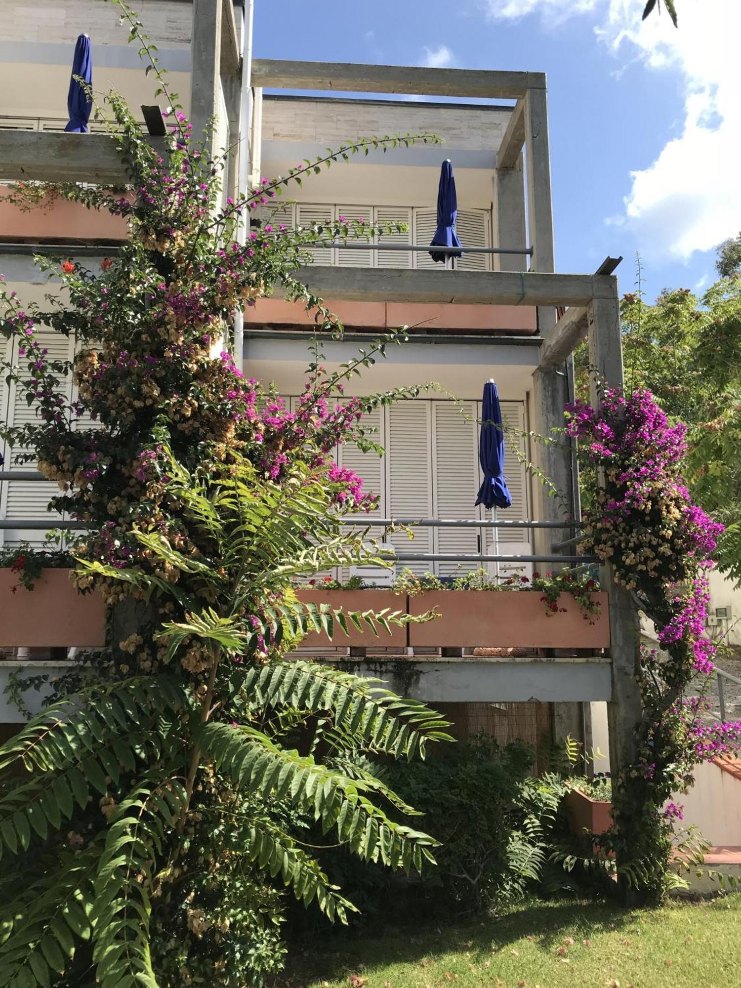 Hotel Viticcio Portoferraio Bilik gambar